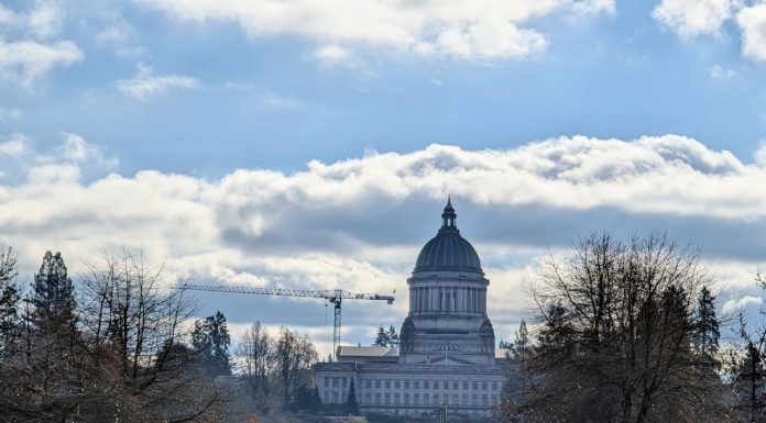 Washington Legislature Toys with Age Verification for Big Tech The domed Olympia Capitol Building stands in the distance with a bus stop with a passenger waiting in the foreground. A dogwalker also mosey on the lawn.