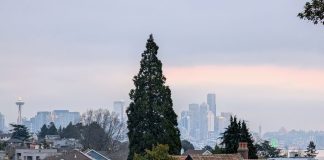 A woman jogs down Wallingford Avenue on a block of single family homes with Lake Union and the Seattle skyline in the background.