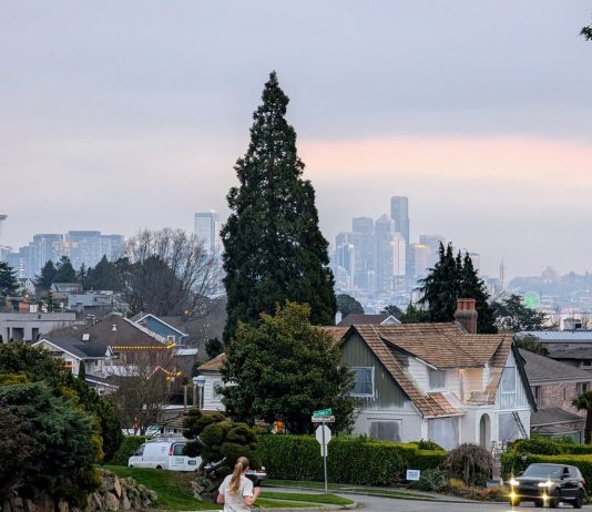 Year-End Report: Keep The Urbanist Strong Heading Into 2025 A woman jogs down Wallingford Avenue on a block of single family homes with Lake Union and the Seattle skyline in the background.
