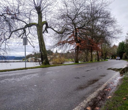Promised Lake Washington Boulevard Traffic Calming Remains Uncompleted