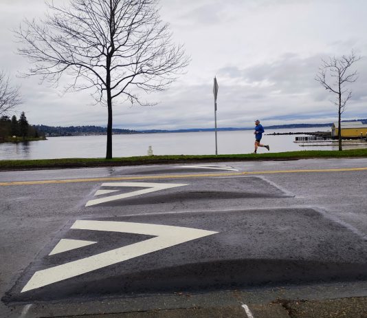 Harrell Administration Cancels Planned Lake Washington Boulevard Safety Upgrades