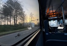 Op-Ed: Washington State Should Allow Riders to Serve on Transit Boards Sunset out of an Intercity Transit bus window in Thurston County.