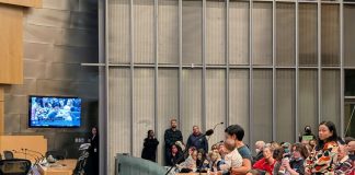 A women holds a baby with a toddler at her feet and speaks into the micro in Seatlte council chambers.