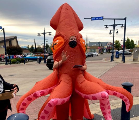 Op-Ed: Will Bremerton Build Its First Protected Bike Lane? A woman in an octopus costume stands nexts to bollards at a 6th avenue intersection and gestures and reads a story to kids. Cars zip through the intersection.
