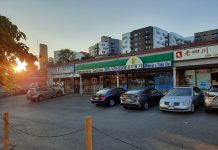 Op-Ed: Little Saigon Forges a Plan for a Safe, Beautiful Neighborhood A strip mall