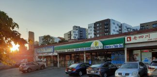 Op-Ed: Little Saigon Forges a Plan for a Safe, Beautiful Neighborhood A strip mall