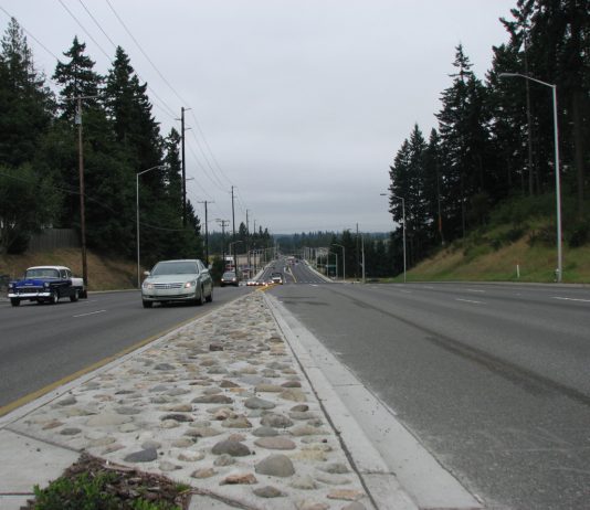 Pierce County Republicans Try to Bury Vision Zero Safety Action Plan