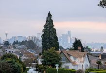 Kicking Off Our Annual Spring Member Drive Magnolia Boulevard with the Seattle skyline and a thin layer of fog in the distance.