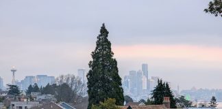 Magnolia Boulevard with the Seattle skyline and a thin layer of fog in the distance.