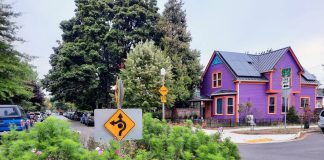 A roundabout is filled with green plants and is surrounded by fresh concrete and new curb curb cuts. It's a residential neighborhood with a purple single family house on the corner.