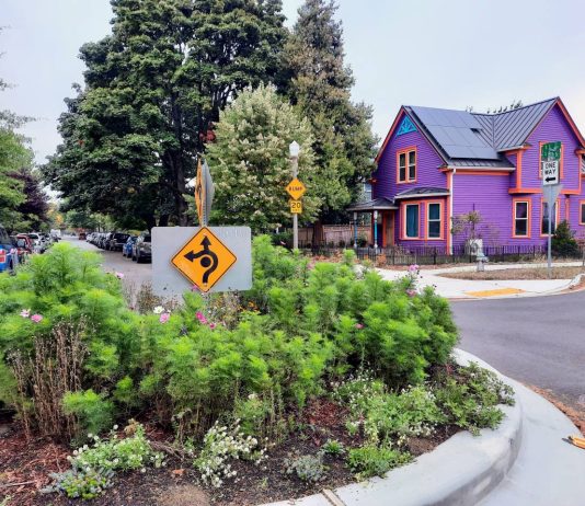 Tacoma Voters Narrowly Reject Levy in Street Safety Setback A roundabout is filled with green plants and is surrounded by fresh concrete and new curb curb cuts. It's a residential neighborhood with a purple single family house on the corner.