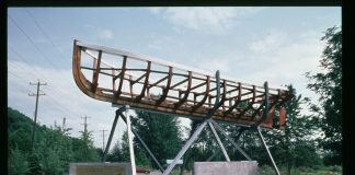 Op-Ed: Ants — Has Seattle Strayed from its Public Art Mission?