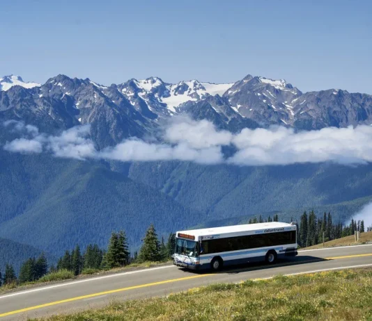 Special Summer Transit Options Increase Multimodal Access Across Puget Sound