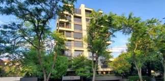 Op-Ed: Building Code Changes to Promote Better Multifamily Housing in Seattle The skinny modern eight-story towers peeks out between two trees.