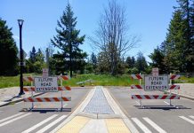 Sammamish Hits Pause on Town Center Planning after Backlash Election