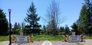 Sammamish Hits Pause on Town Center Planning after Backlash Election