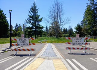 Sammamish Hits Pause on Town Center Planning after Backlash Election