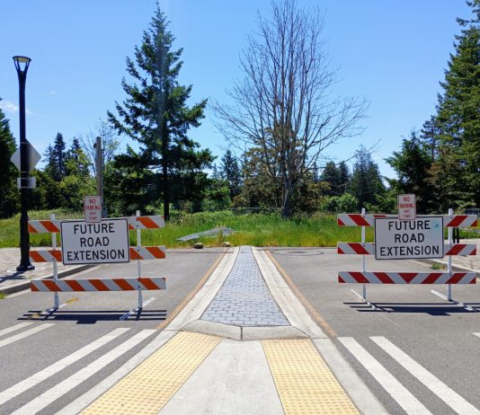 Sammamish Hits Pause on Town Center Planning after Backlash Election