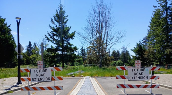 Sammamish Hits Pause on Town Center Planning after Backlash Election