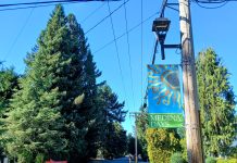 Medina Clinging to ‘Semi-rural’ Streets While Vying for Complete Streets Dollars