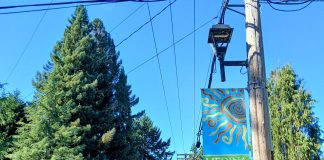 Medina Clinging to ‘Semi-rural’ Streets While Vying for Complete Streets Dollars