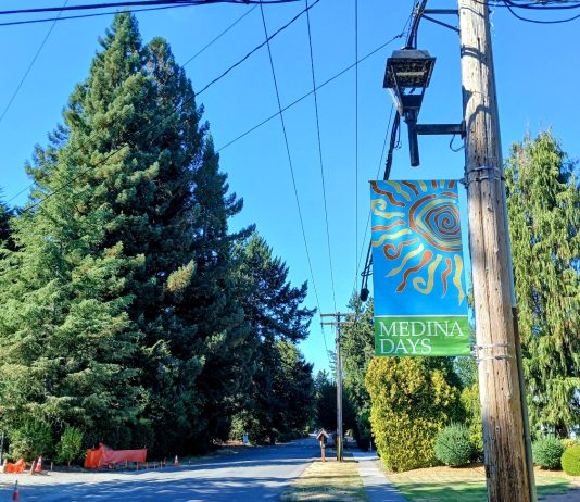 Medina Clinging to ‘Semi-rural’ Streets While Vying for Complete Streets Dollars