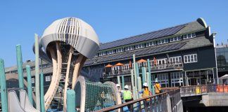 Seattle’s Pier 58 Reopens as Final Piece of Waterfront Park Puzzle