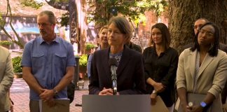Seattle Council Targets Nuisance Properties, Graffiti, and Safety-Themed Sales Tax Bump Nelson stands at a lectern with a row of providers standing behind her.