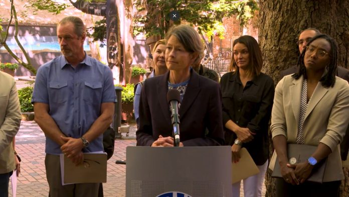 Sara Nelson press conference on treatment plan via Seattle Channel Nelson stands at a lectern with a row of providers standing behind her.