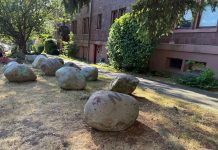 Op-Ed: The War Over Tacoma’s Planting Strips