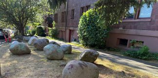 Op-Ed: The War Over Tacoma’s Planting Strips