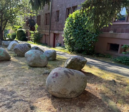 Op-Ed: The War Over Tacoma’s Planting Strips