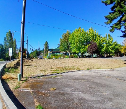 ‘Save the Corner’ Campaign Targets 92 Affordable Homes on Bainbridge Island