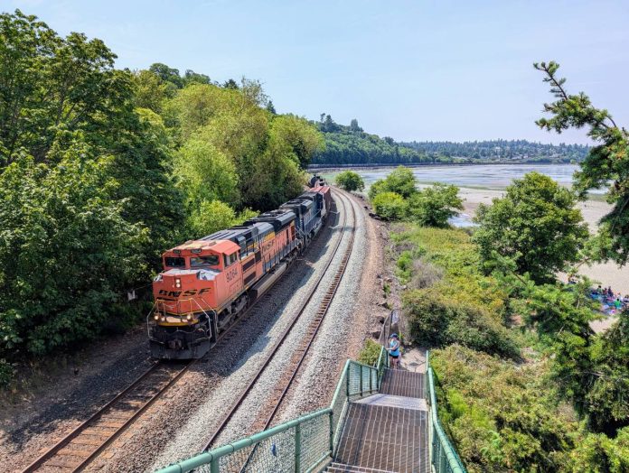 A BNSF freight train heads north along the Puget Sound coast, passing under the pedestrian bridge at Carkeek Park. A tree-covered ridge is on the left.