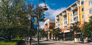 A tree lined street in Mercer Island's town center, with a four story building on the other side of the street