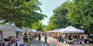 Seattle Narrows Down Options for Initial ‘Low Pollution Neighborhoods’