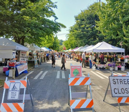 Seattle Narrows Down Options for Initial ‘Low Pollution Neighborhoods’