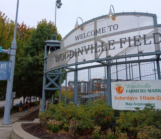 Cash Wave Seeks to Tilt Woodinville Elections Against Housing Growth