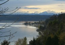 Burien Eyes Rolling Back Zoning Changes in Response to Homeowner Pressure