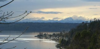 Burien Eyes Rolling Back Zoning Changes in Response to Homeowner Pressure