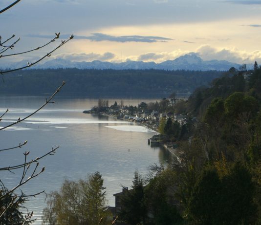 Burien Eyes Rolling Back Zoning Changes in Response to Homeowner Pressure