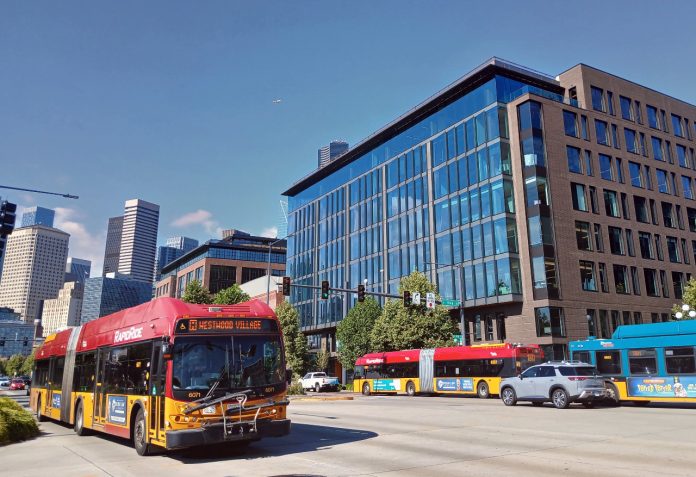 20250725_164431-EDIT