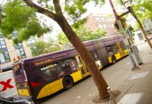 The View From Nathan’s Bus: Remembering Why We Love Trolleys