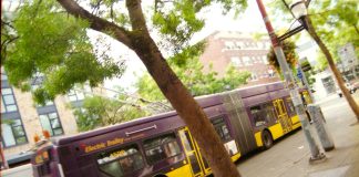 The View From Nathan’s Bus: Remembering Why We Love Trolleys