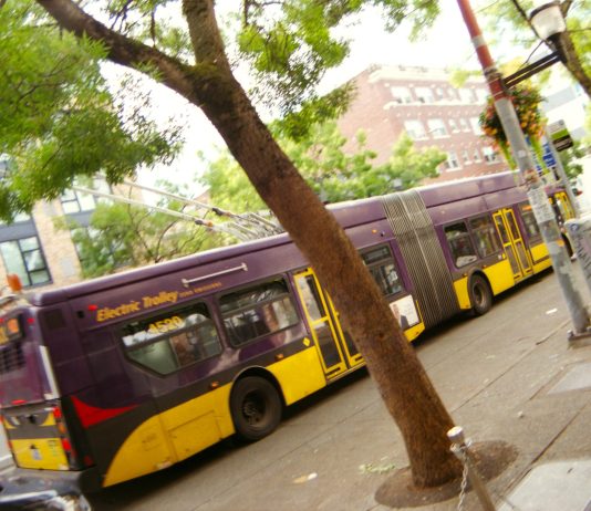 The View From Nathan’s Bus: Remembering Why We Love Trolleys