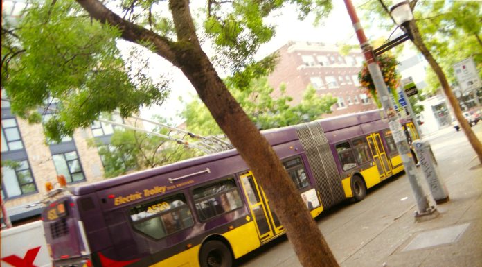 The View From Nathan’s Bus: Remembering Why We Love Trolleys