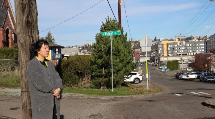 Despite Sidewalk Funding Boost, Some Seattle Neighborhoods Still Feel Shortchanged Dana is an Asian woman with black hair wearing a gray coat. She stands on a sidewalk-less corner by a utility pole. In the distance are some large apartment complexes.