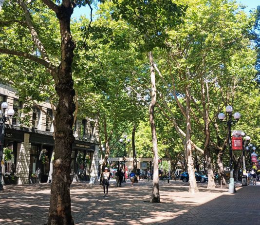 ‘Existential’ Budget Cut Would Wipe Out State Urban Forestry Program