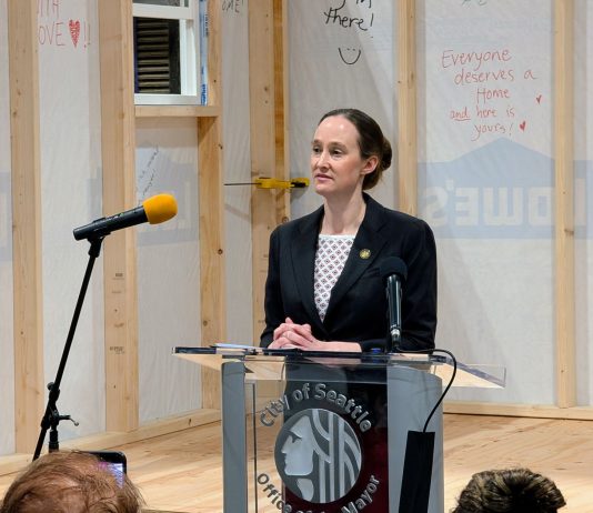 Wilson Rolls Out Bills Expediting Emergency Housing for Homeless Residents Wilson wears a black blazer and stands at a lectern in front of a half completed tiny home with inspirational messages scrawled on the siding.